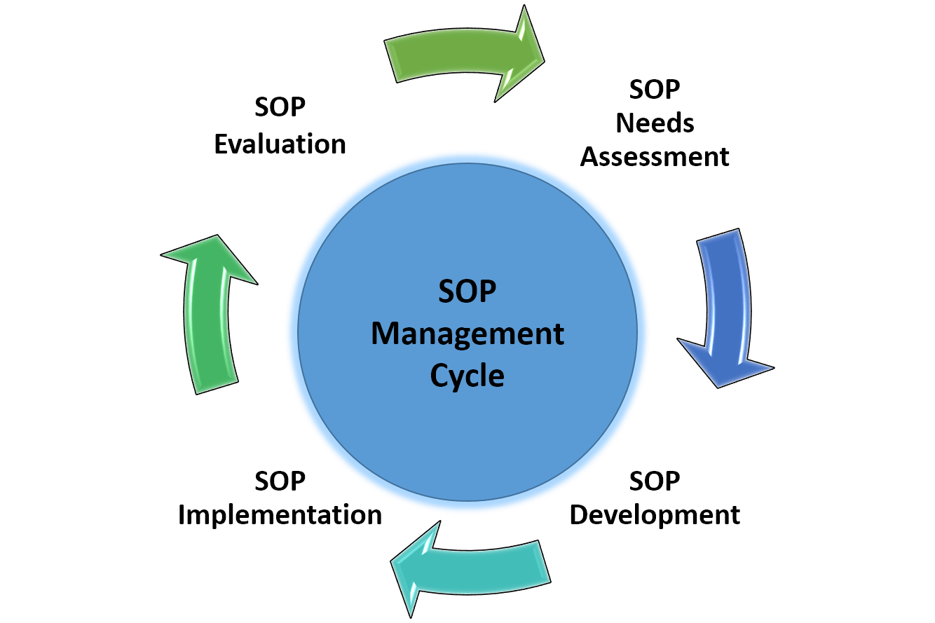 The SOP management cycle.