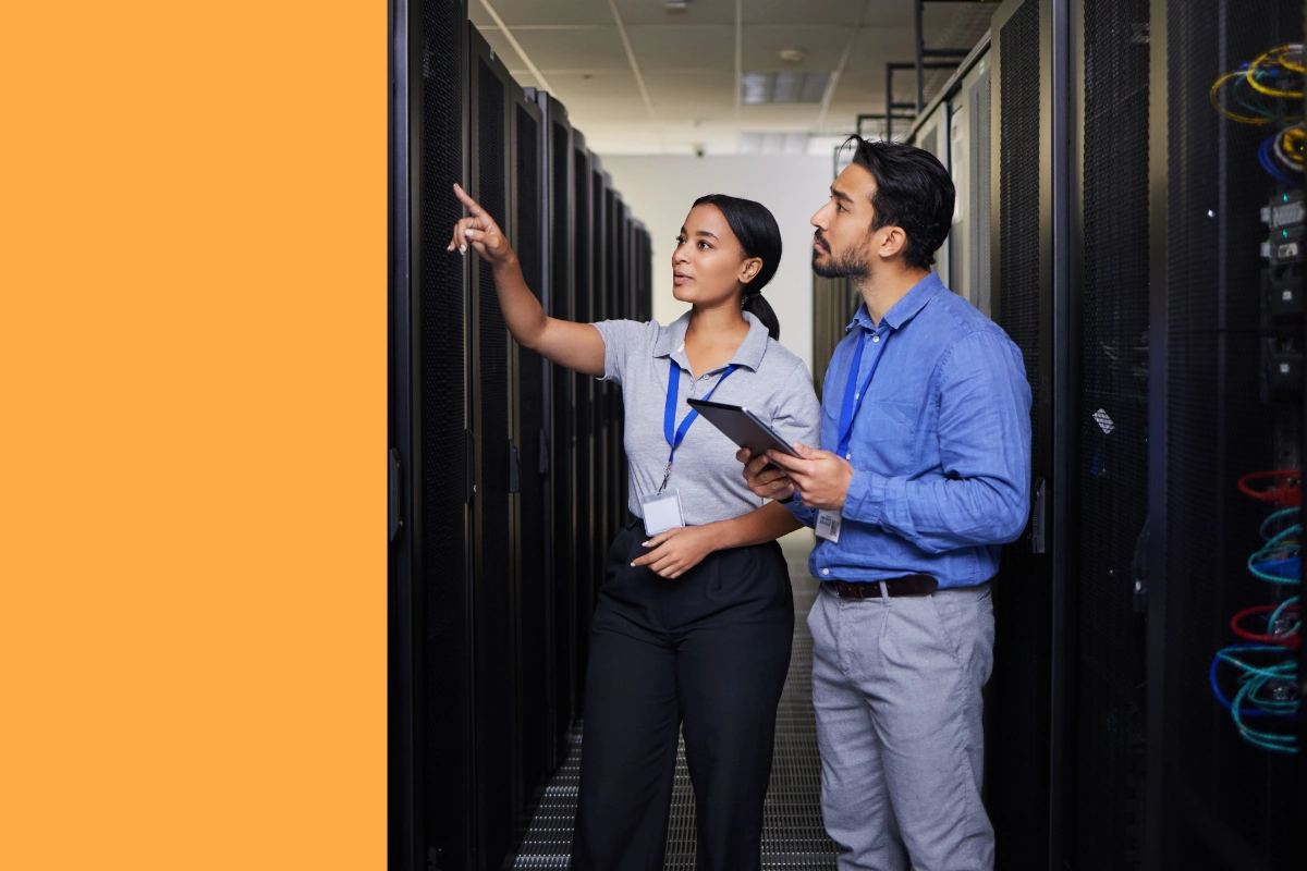 IT asset management
