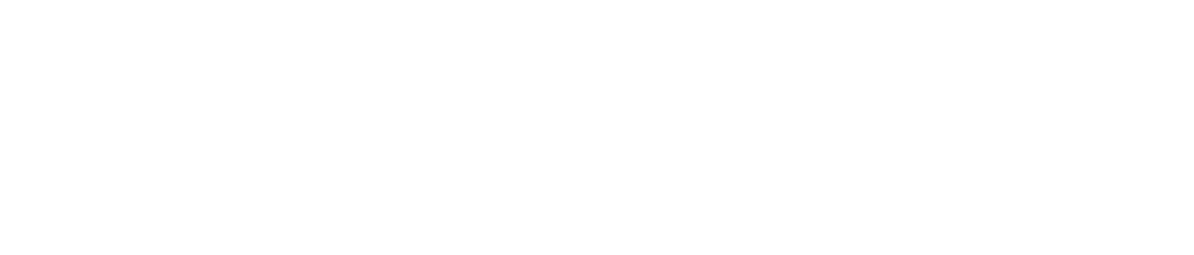 Nanoprecise white logo