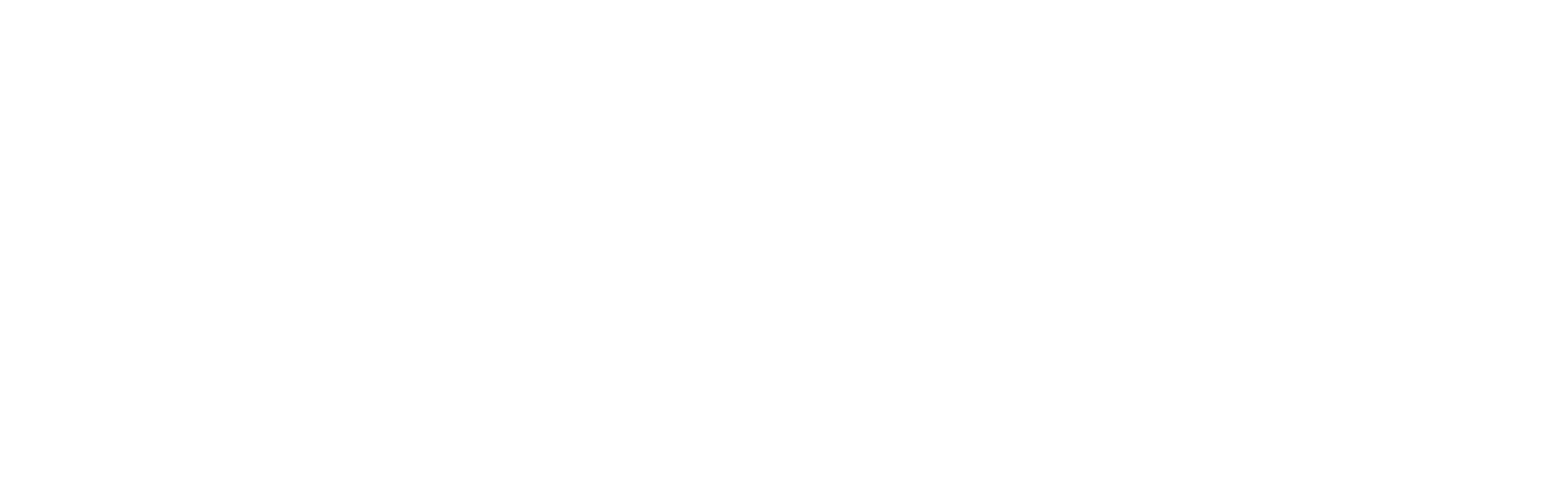 McKinsey and Company white logo