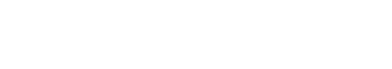 Databricks white logo