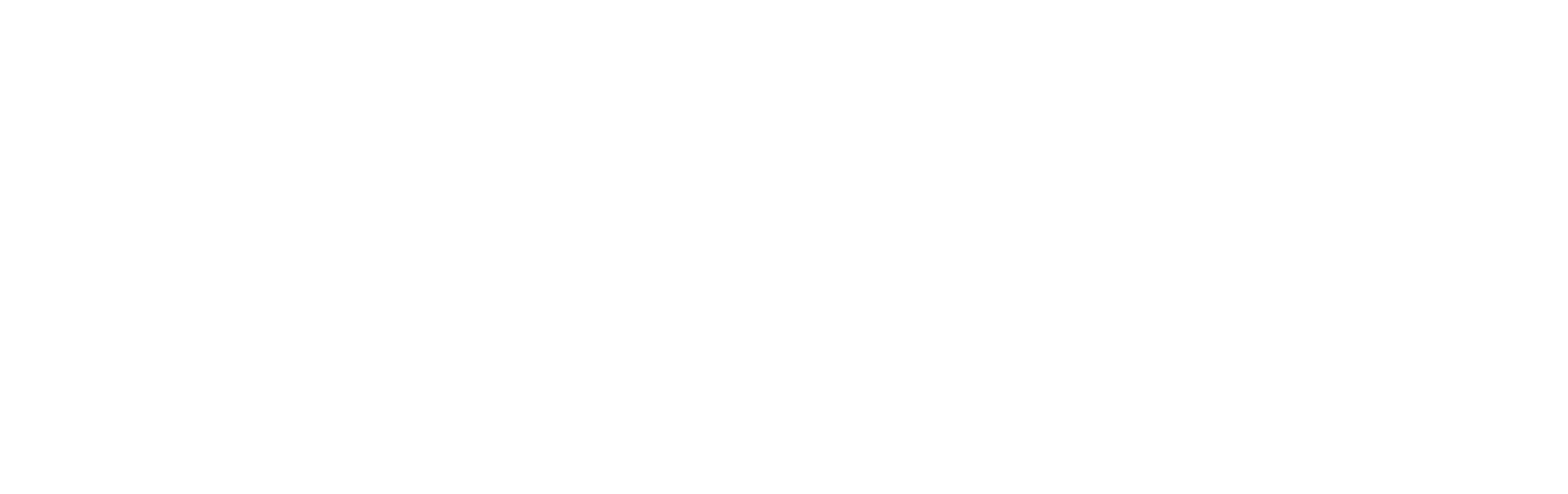 Falkonry white logo