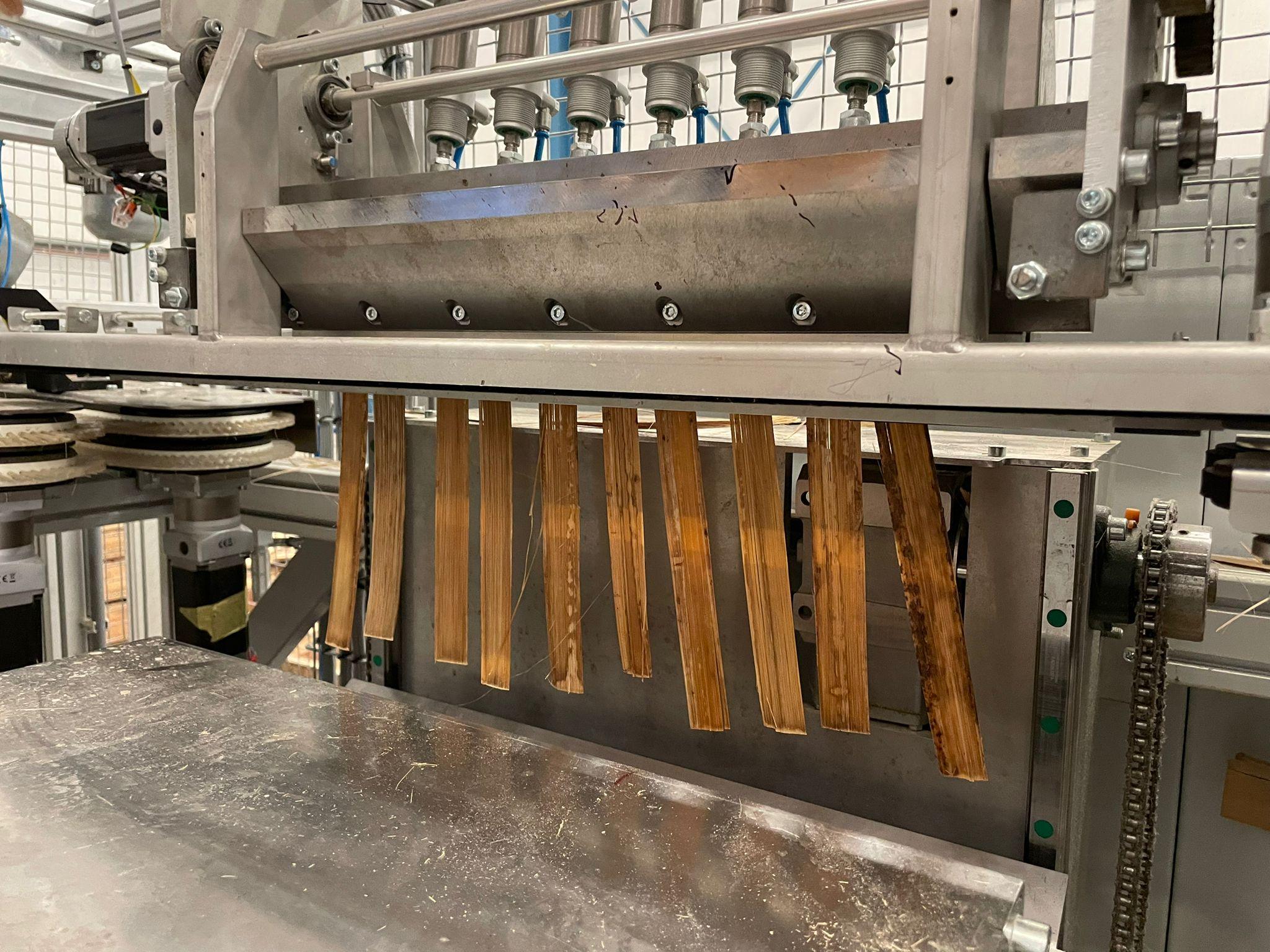 Bamboo slats being split on machine