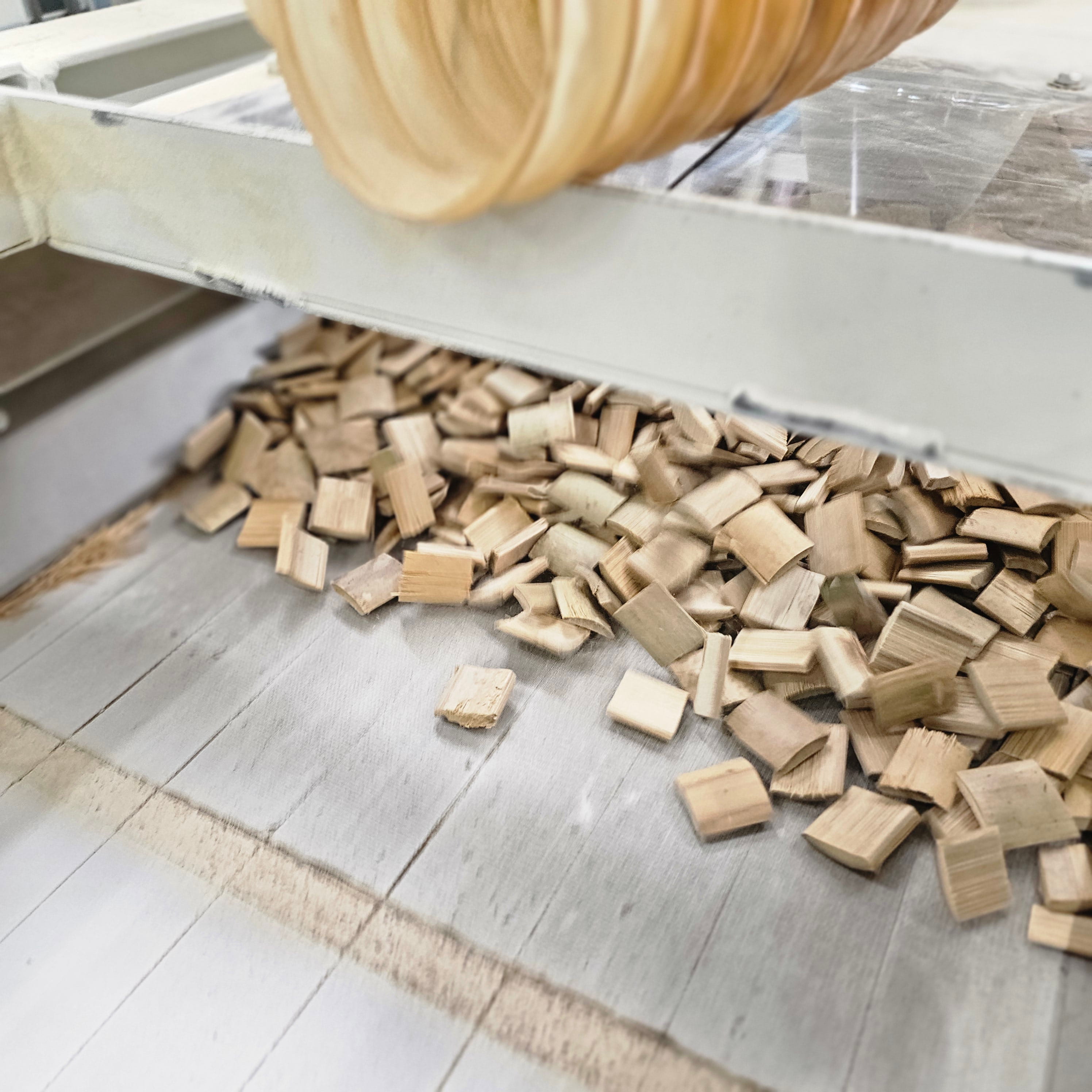 Bamboo chips in production