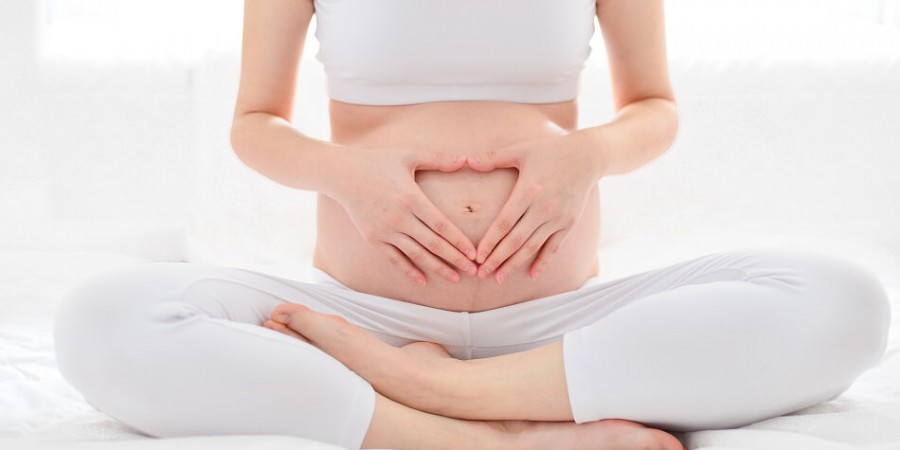 Fertility ultrasound assessment