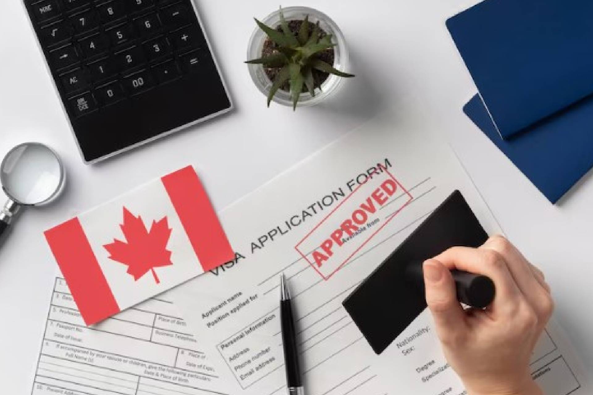 Requirements for getting Canada student visa
