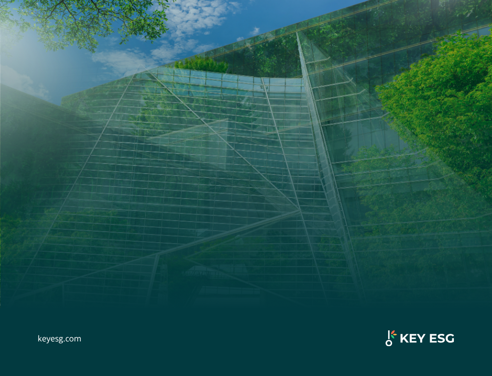 Sustainability vs ESG