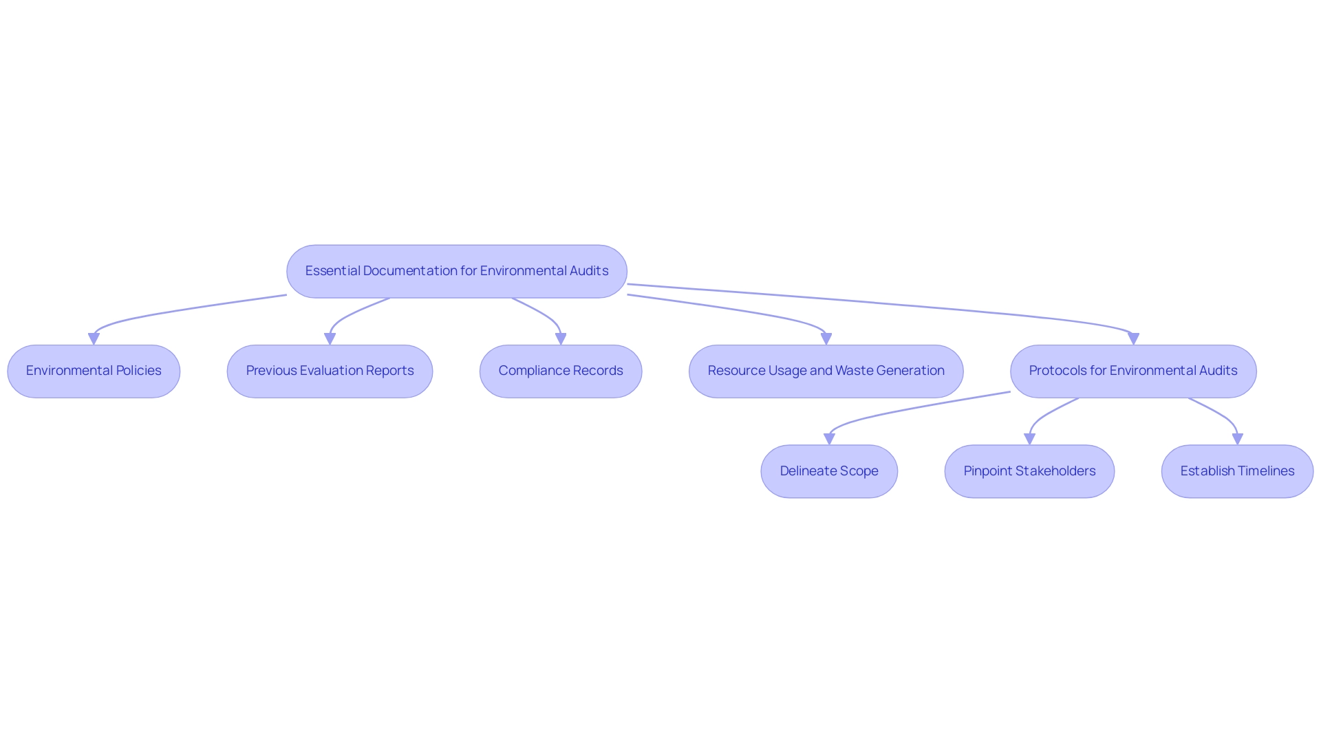 The boxes represent essential documentation and steps in the auditing process; arrows indicate the flow and connections between documentation and protocols.