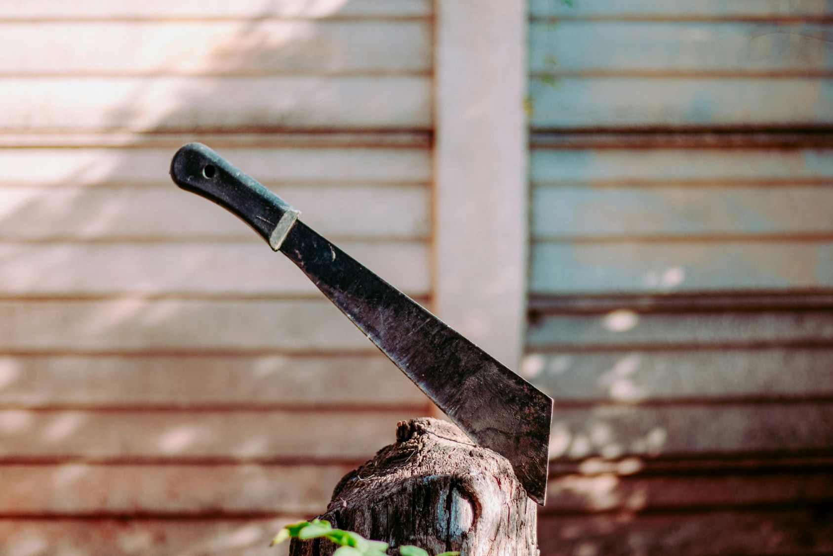 Silence, on massacre !