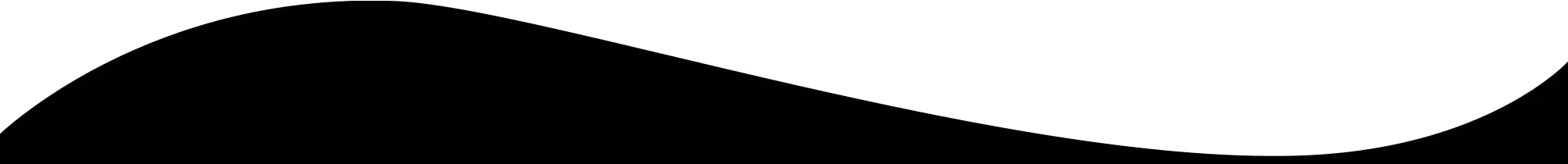 Black abstract horizontal wave shape on white background.