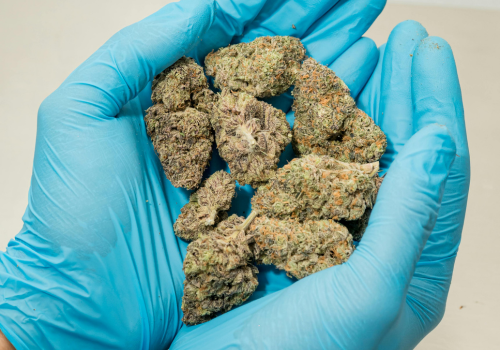 Medical Cannabis Laws and Patient Eligibility in the UK