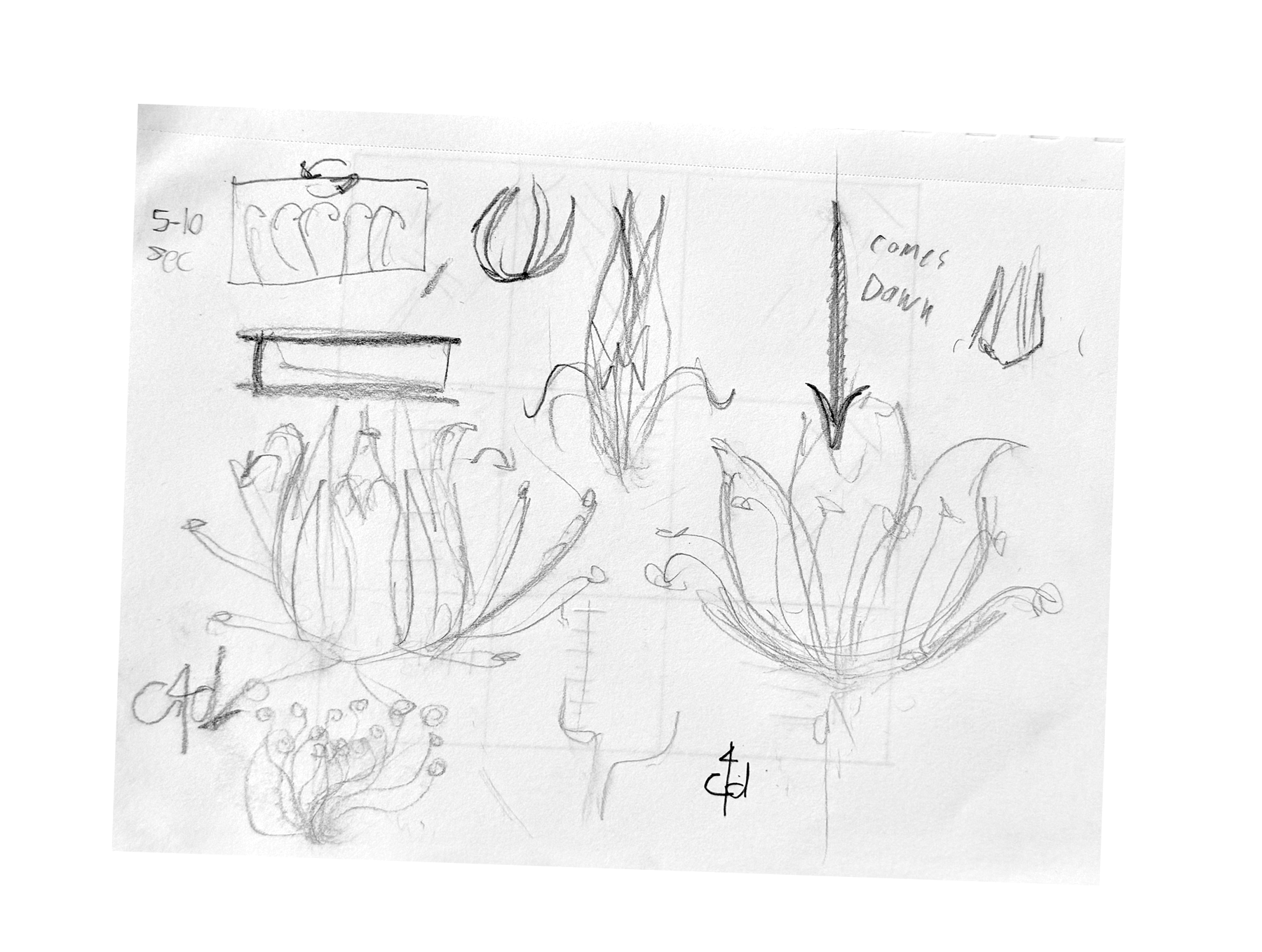 images of the process of the font.