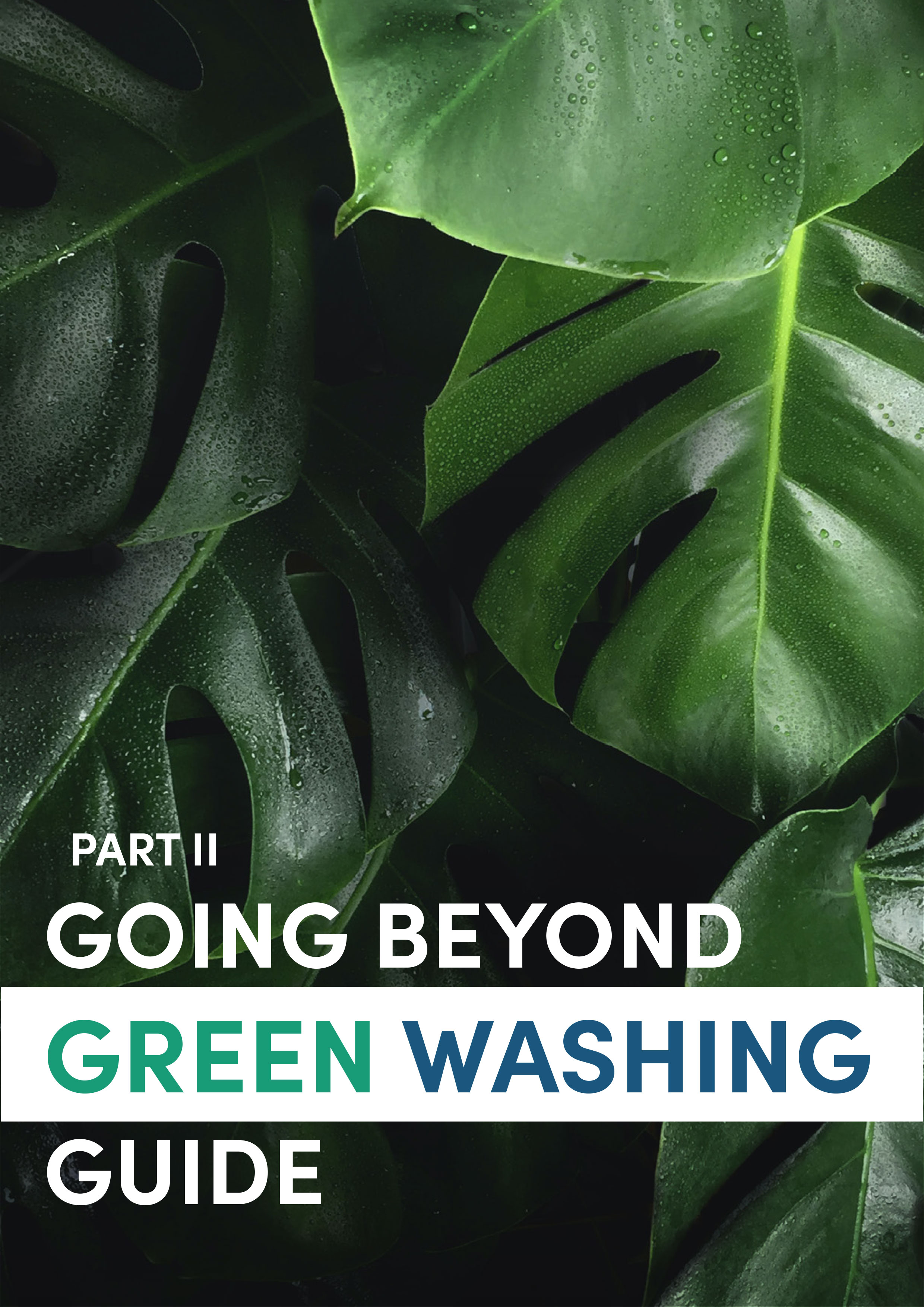 Going Beyond Clean _ Renue Systems, Inc. Trademarks & Logos – VFZV