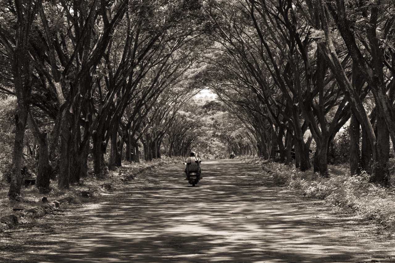 Islands of Contrast: The Indonesia Series