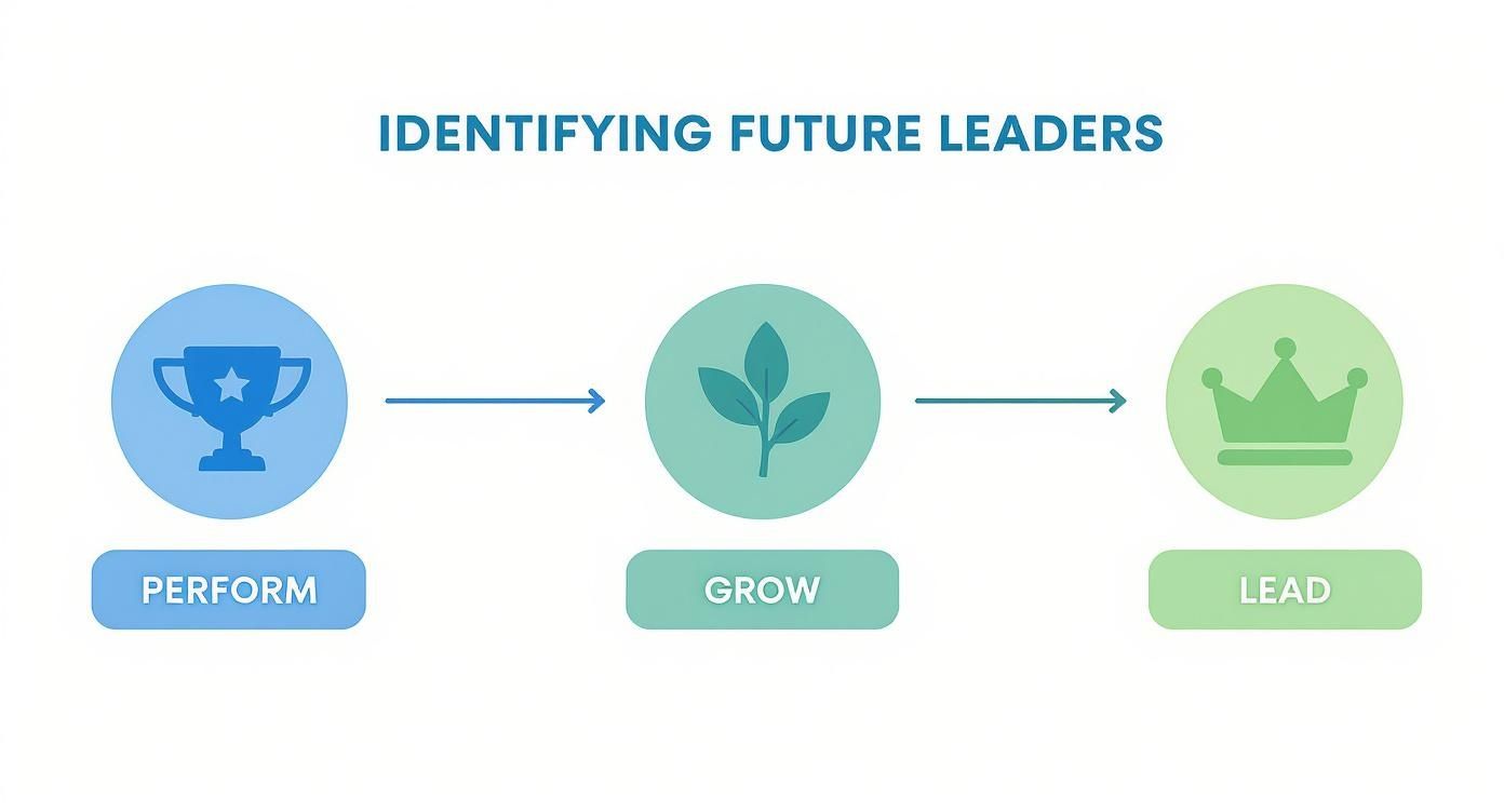 Infographic about how to identify high potential employees