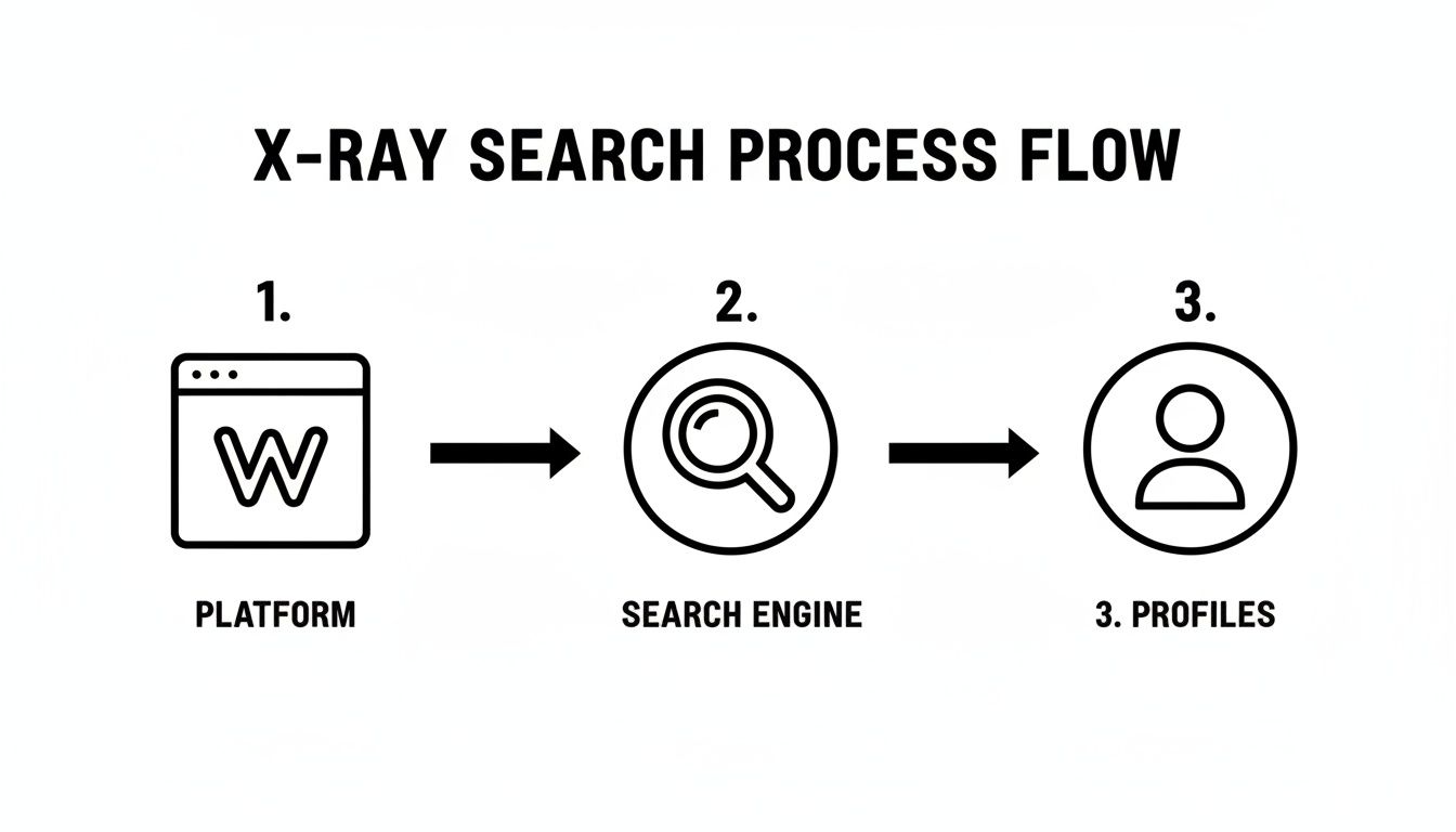 Flowchart illustrating the X-ray search process: from a platform to a search engine, leading to profiles.
