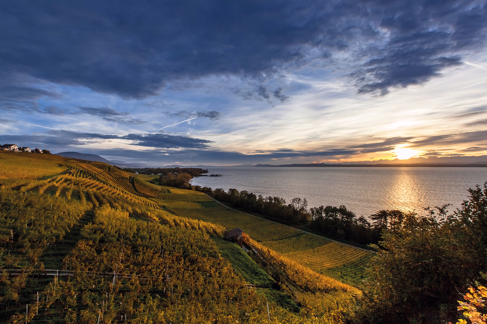Des vignes surplombent le lac de Neuchâtel au coucher de soleil.