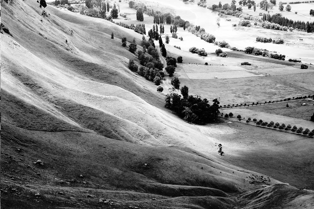 hillside