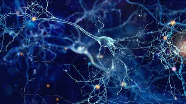 Así descubrimos qué pasa en las neuronas de las personas con autismo