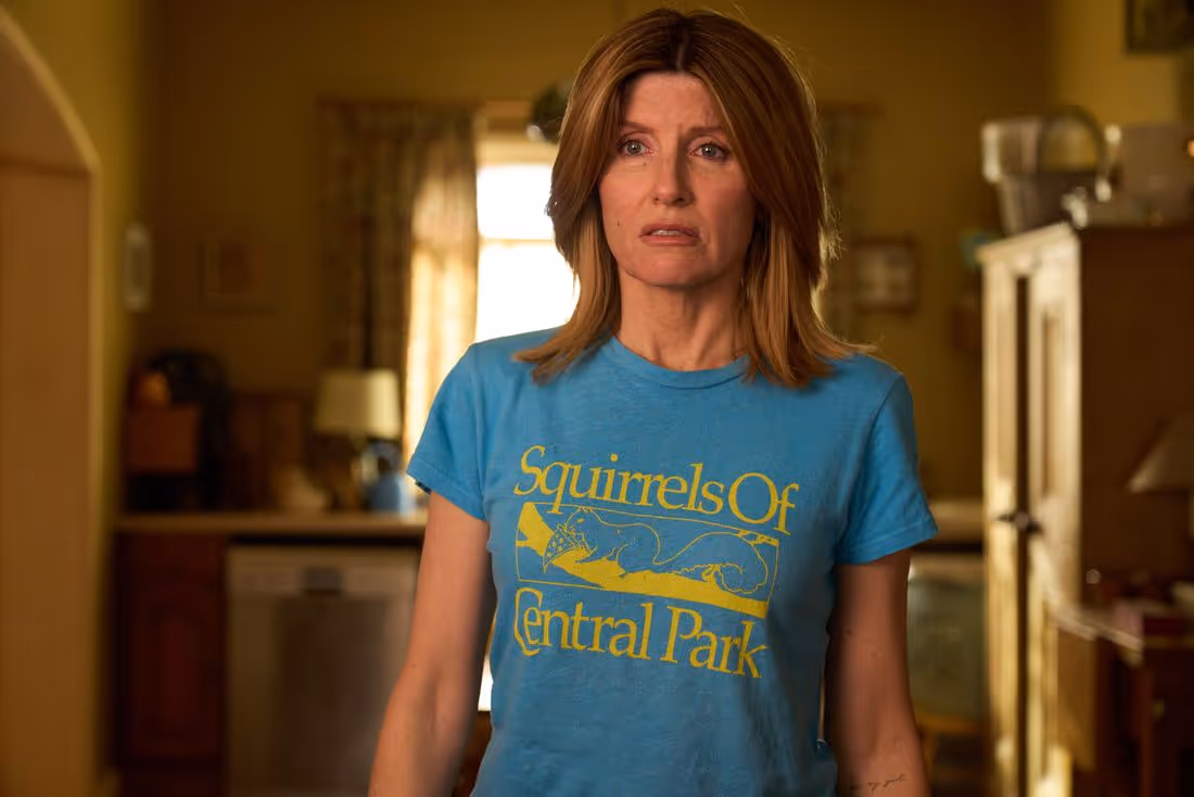 Sharon Horgan Explains 'Bad Sisters' Season 2 Final Moments