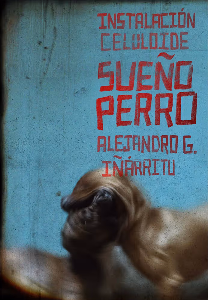 La exposición "Sueño Perro", de Alejandro G. Iñarritu, llegará a CDMX en  octubre | Morelia Film Festival