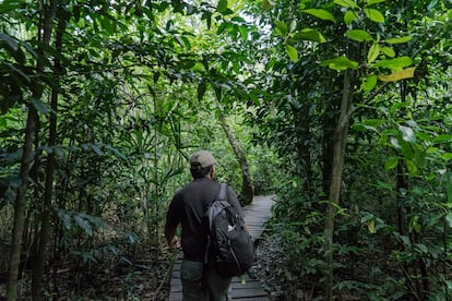 Reserva ecológica de Sian Ka’an, Quintana Roo (México), en marzo de 2019.