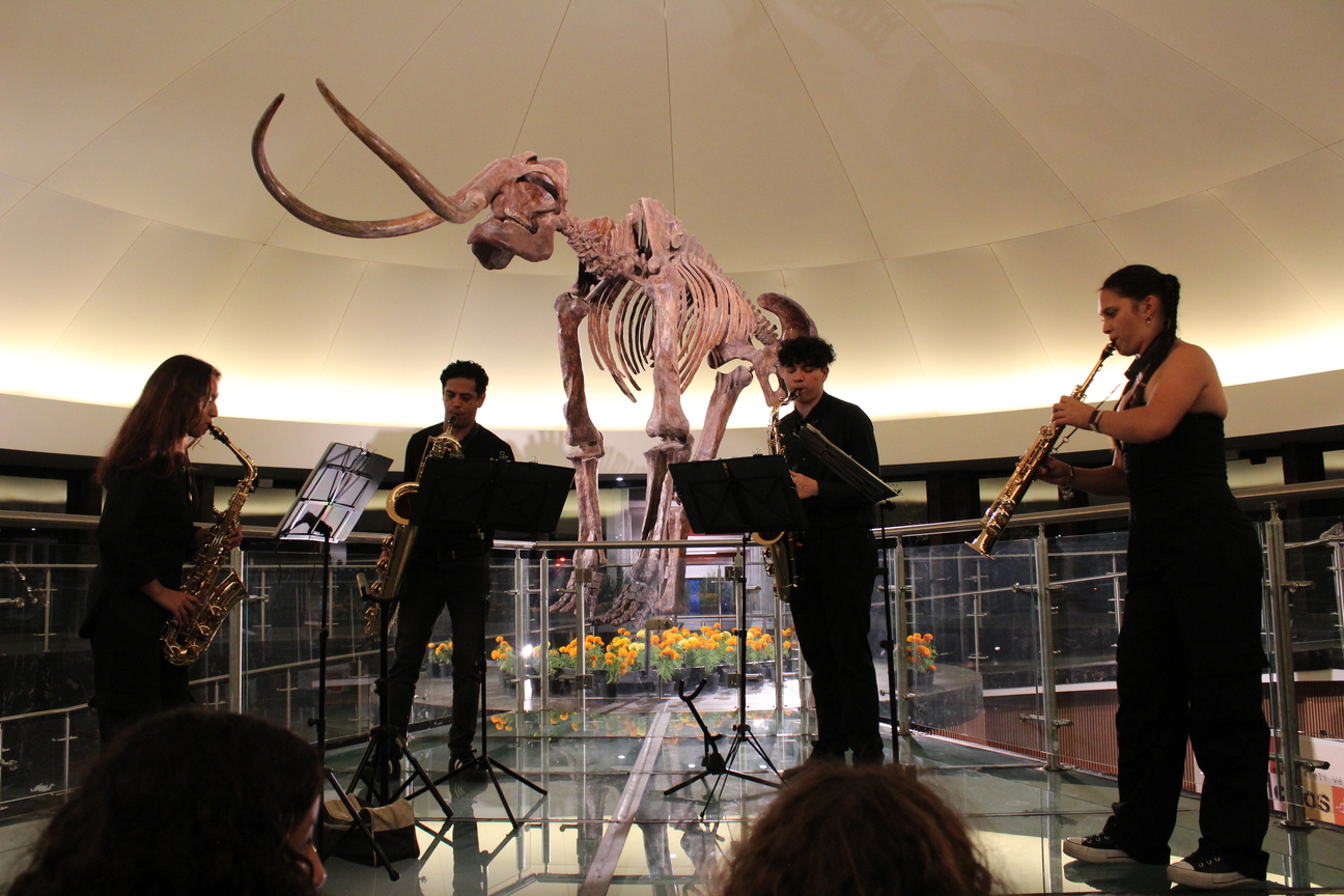 Noche de museos y más actividades de verano en el Museo de Historia Natural y Cultura Ambiental: SEDEMA