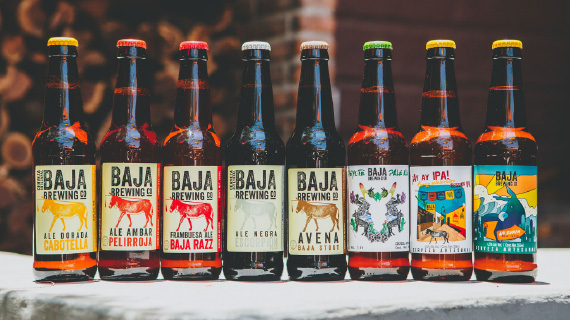 Baja Brewing Company | Craft Beer | Los Cabos Mexico