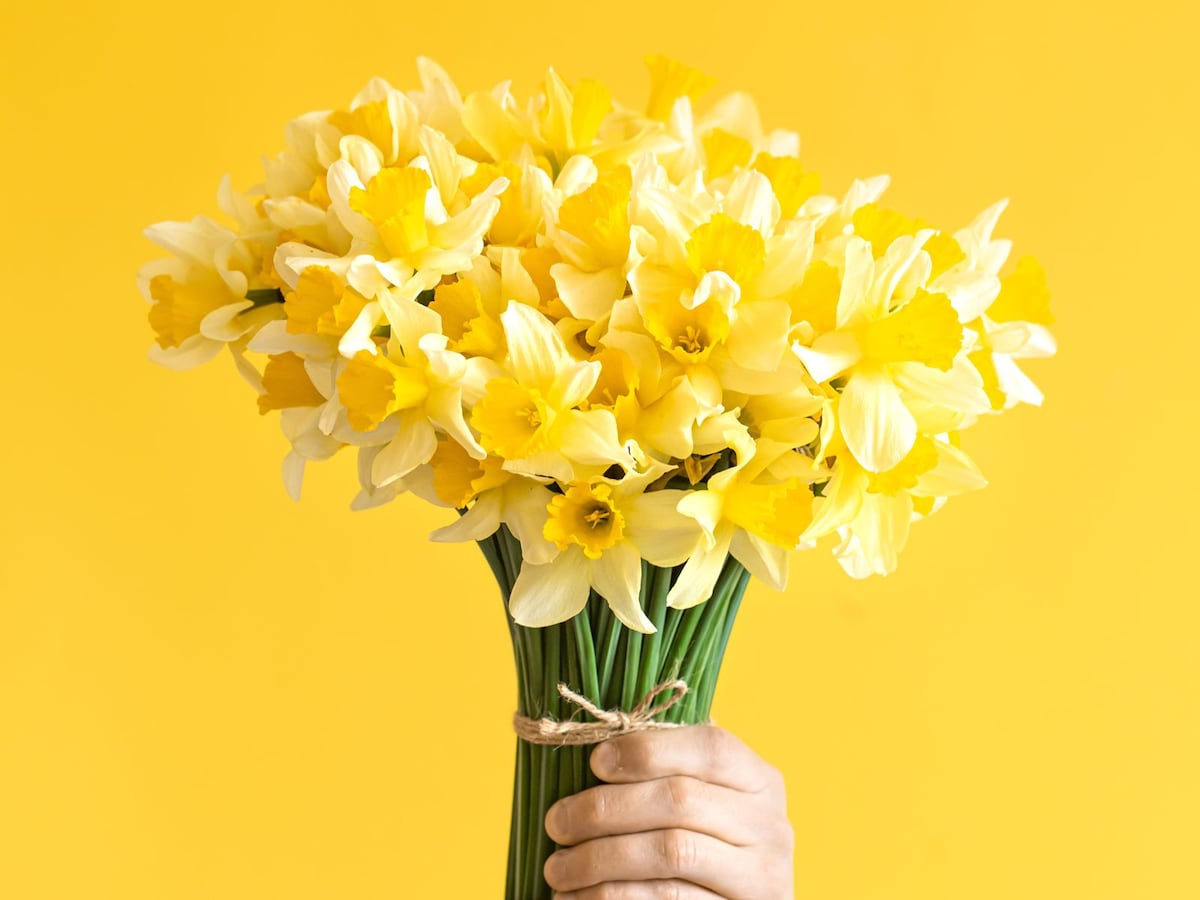 Cuál es la canción de Floricienta que originó el trend de TikTok sobre las flores amarillas? | MIX | GESTIÓN