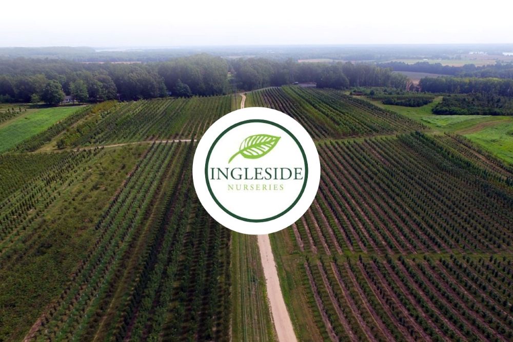 Visit to Ingleside Nurseries: Investing in a Secure Agriware IT System
