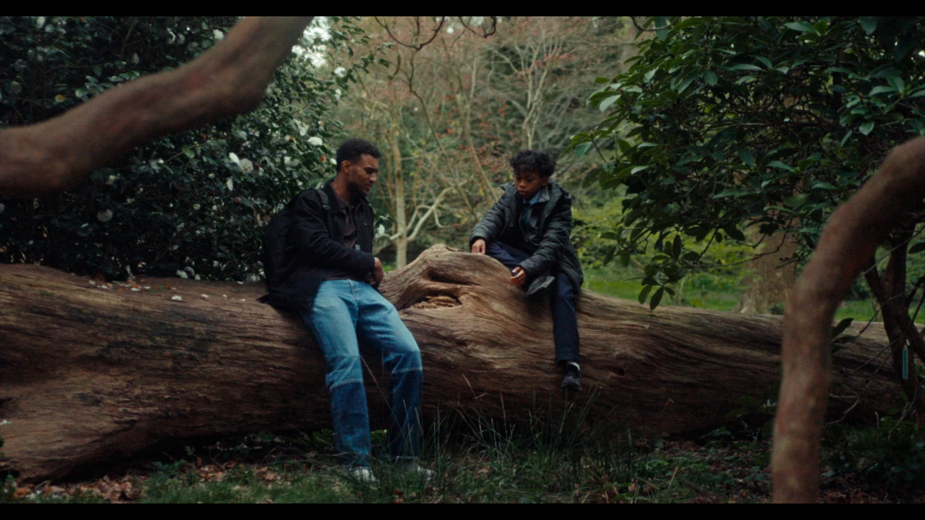 Indispensable - Nathan and Marcus seated on a fallen tree in the woods
