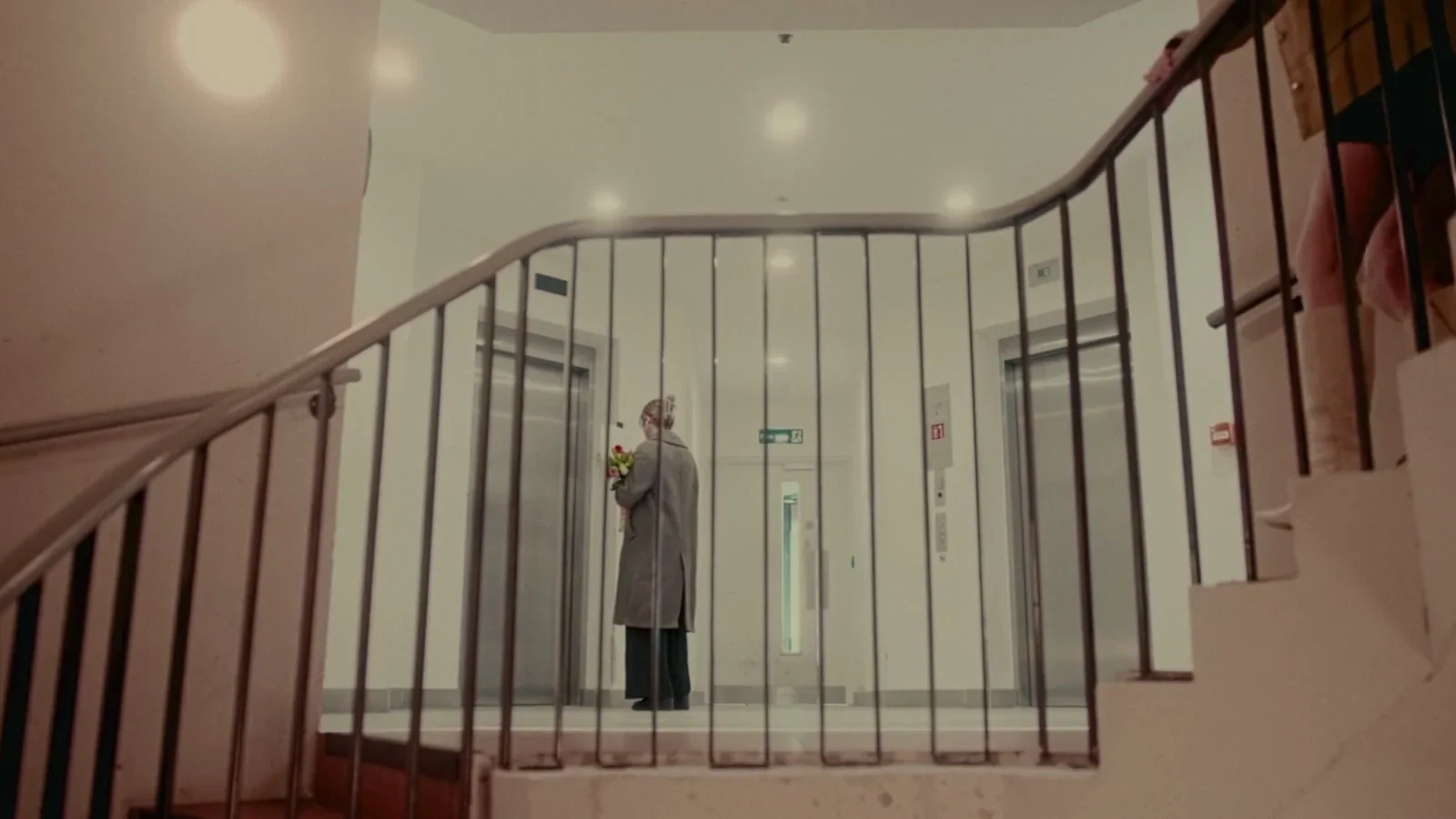 Starling - still 3