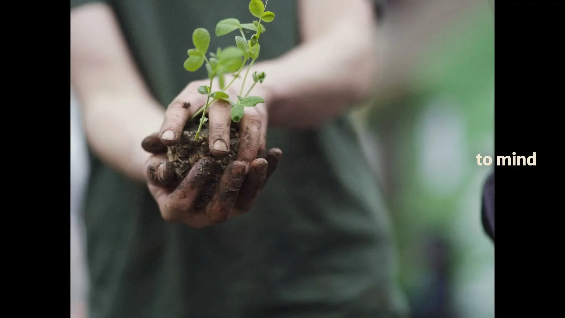 In Our Hands: Conversations on Climate - still 2