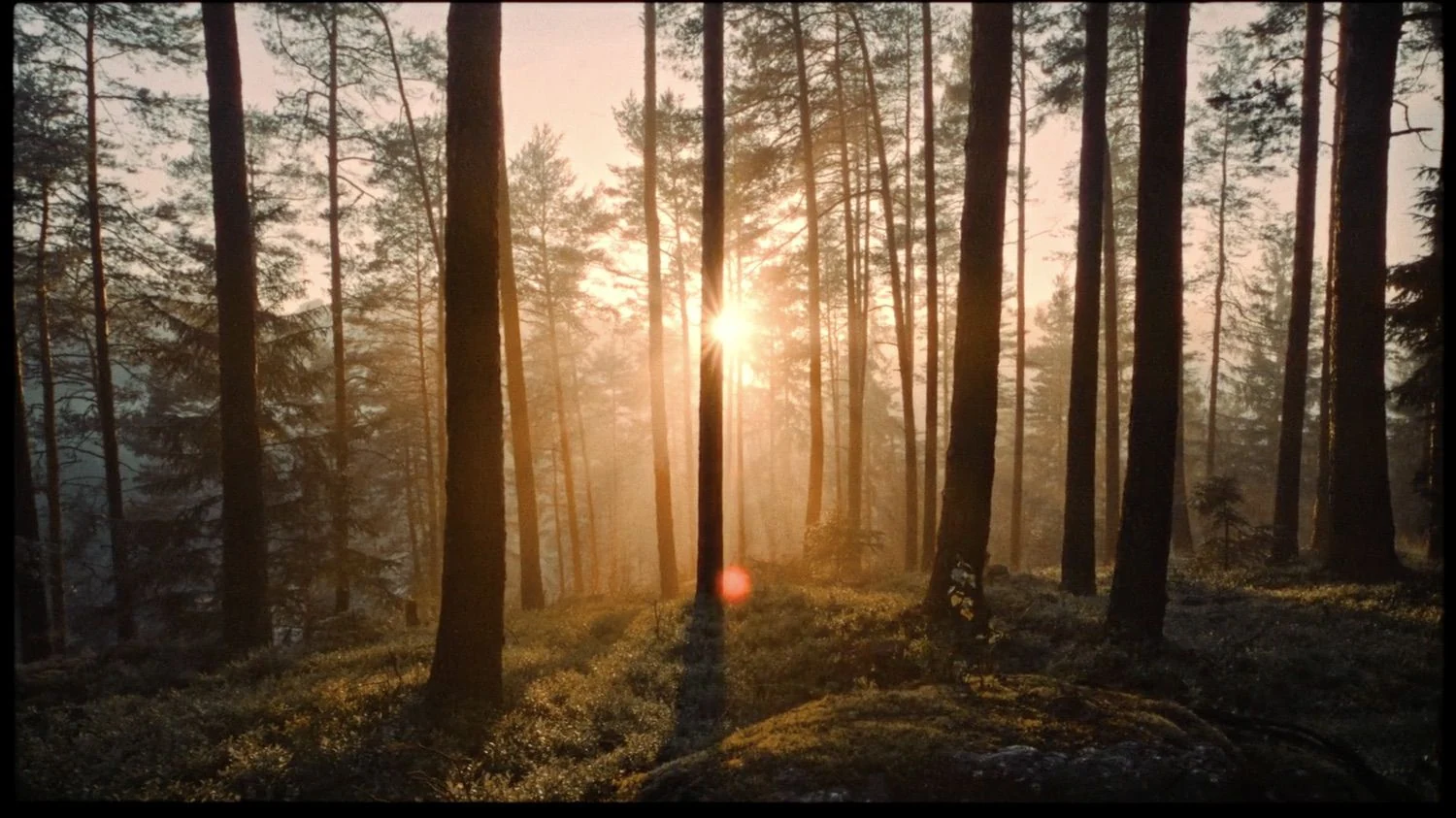 A LETTER TO HOPE - still 4