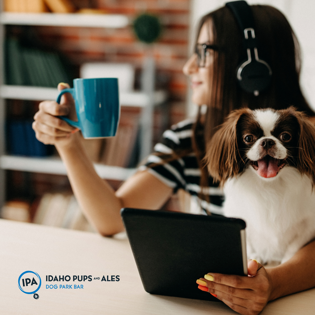 Coffee, Dogs & Co-Working at IPA Dog Bar