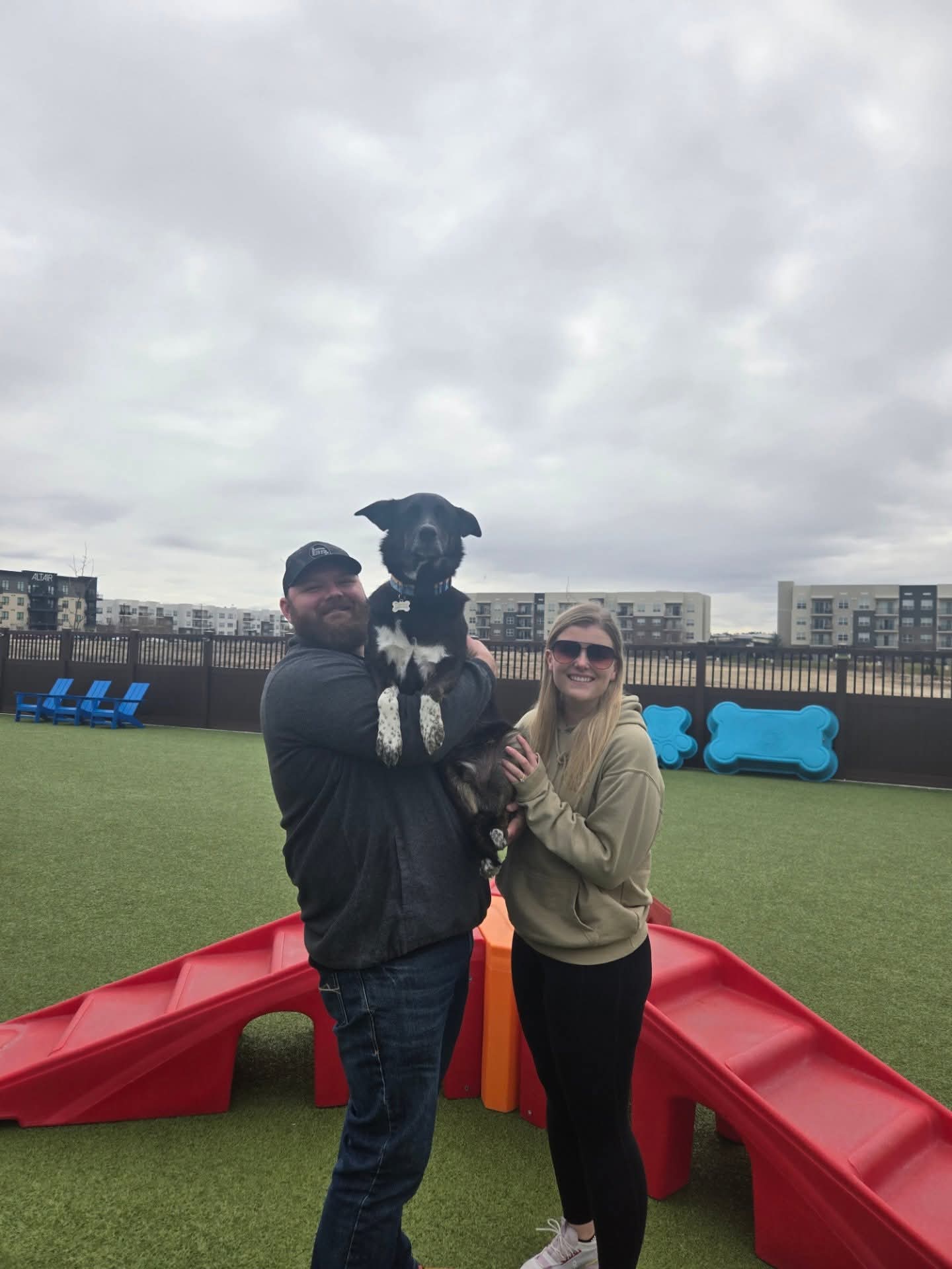 5 Signs Your Dog Needs More Socialization (and What to Do About It)