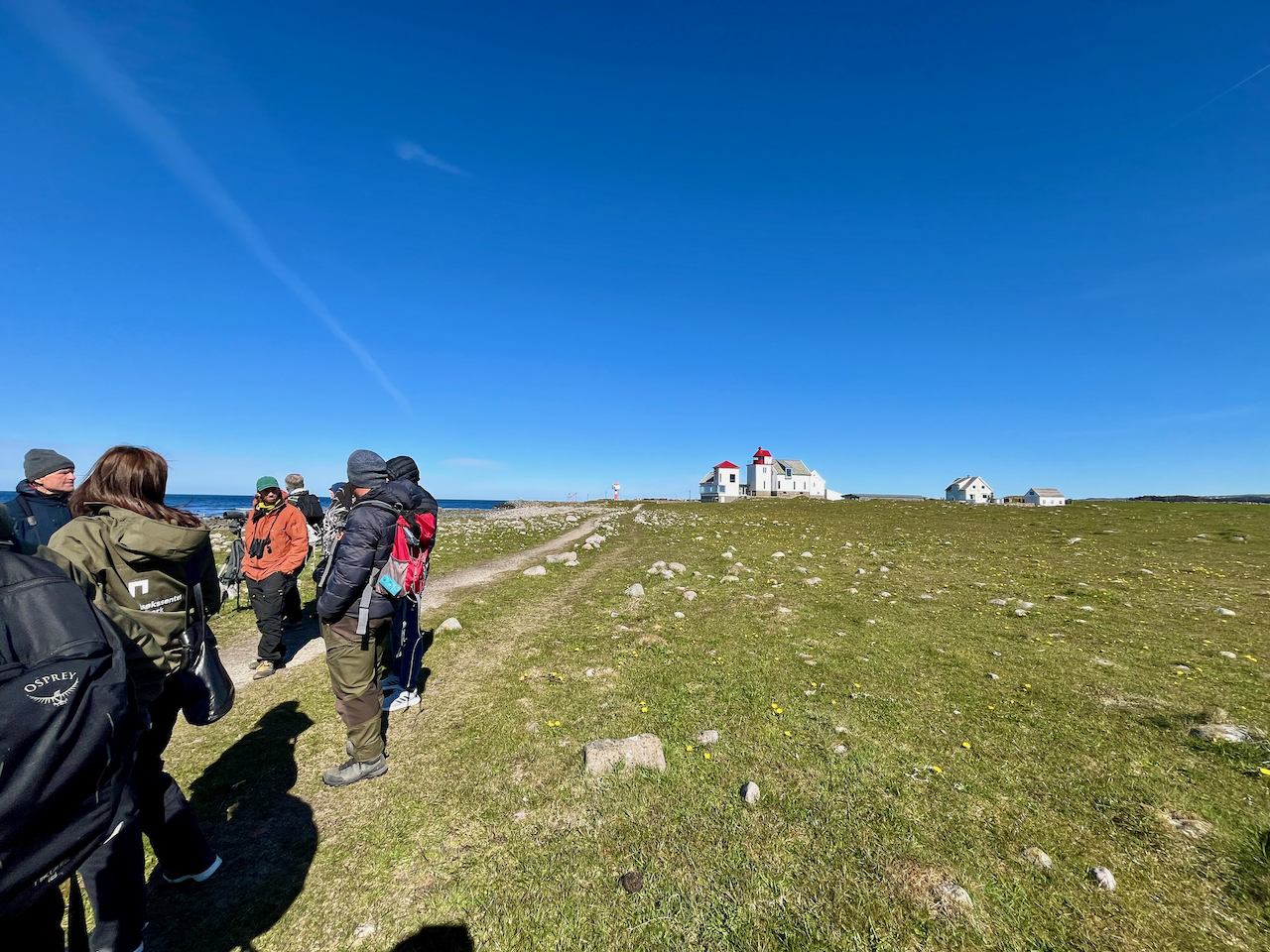 En gruppe fugletittere på Jæren