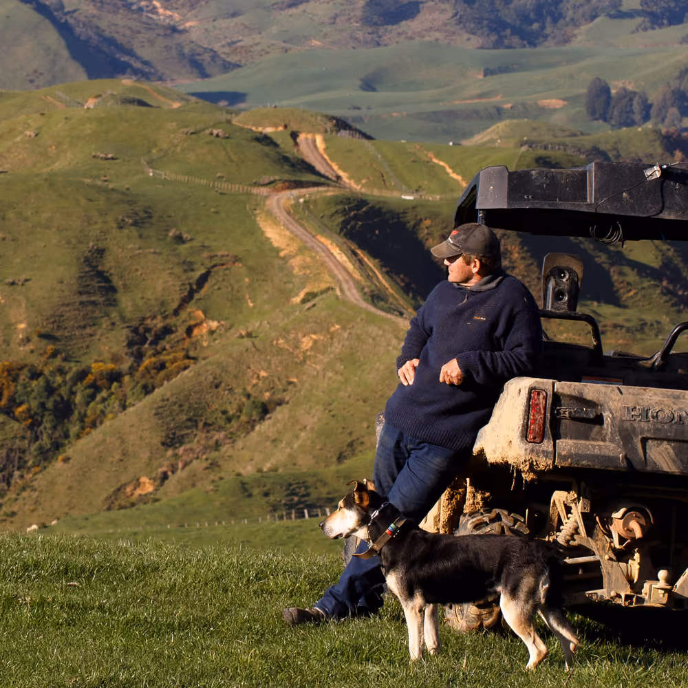 Farm Focus, farmer and dog in a farm