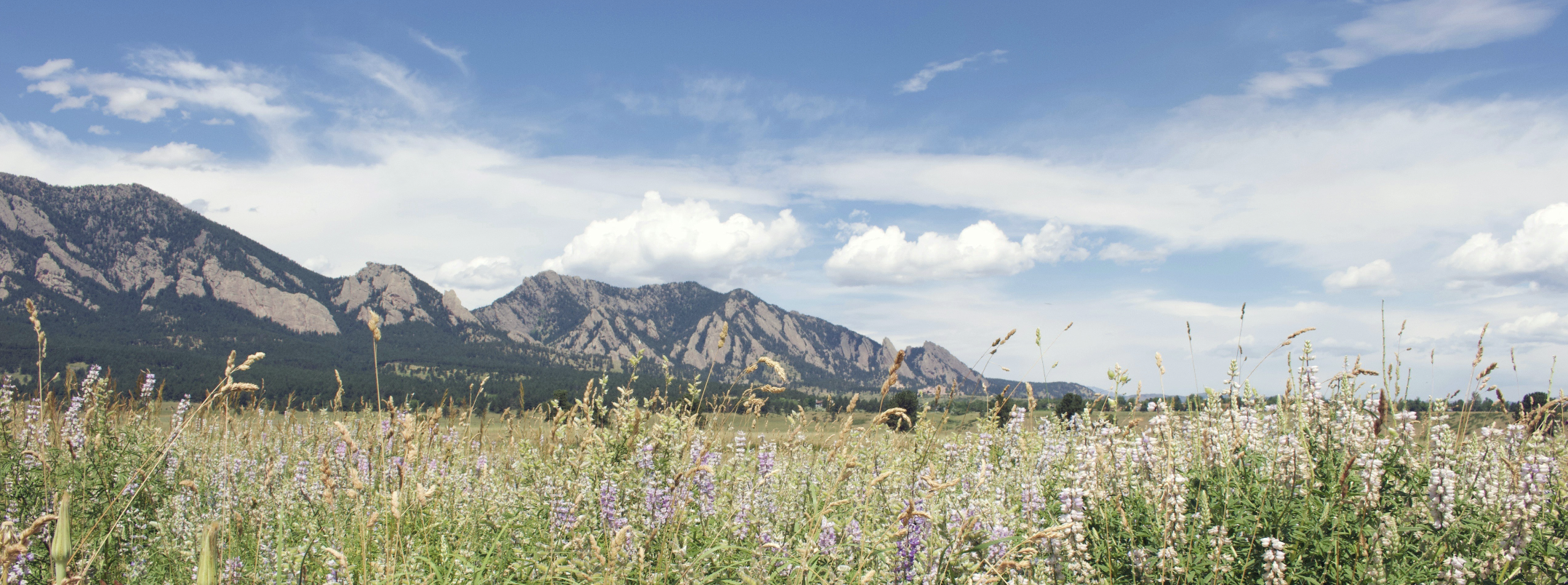 Urban Conservation, Reimagined: How Lafayette Transformed Stewardship with Outway