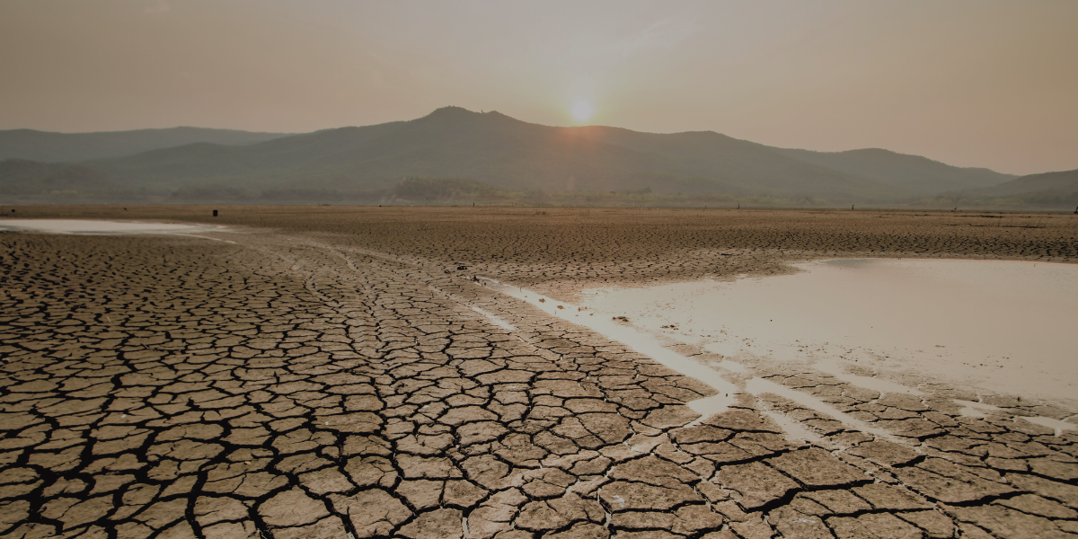 How Drought Is Reshaping Land Management in the West