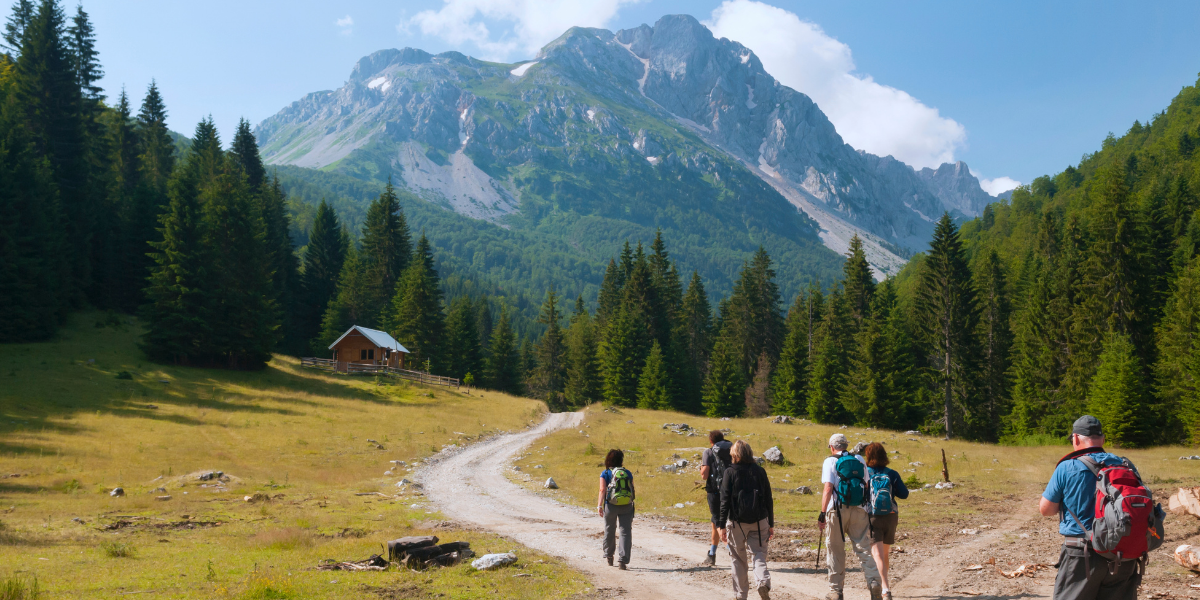 Outway for Visitor and Park Management Teams: Improving Safety and Operations