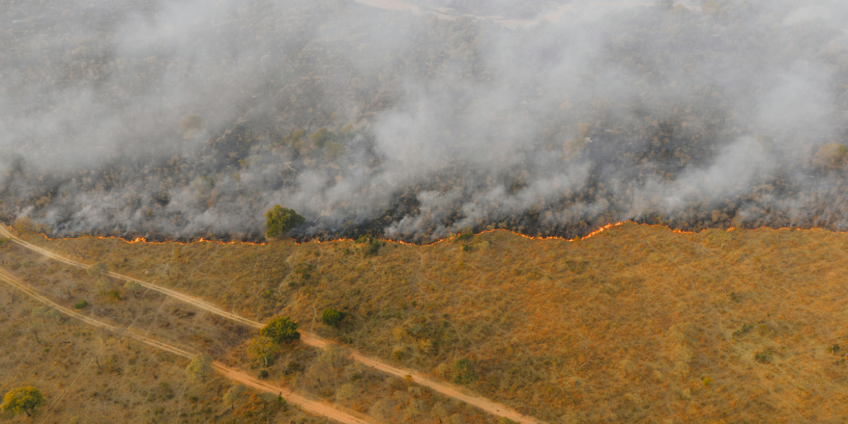 Outway for Wildfire Preparedness Teams: Planning and Protecting Communities