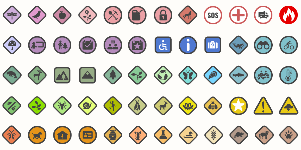 Icons That Work: Making Maps Meaningful for Land Managers