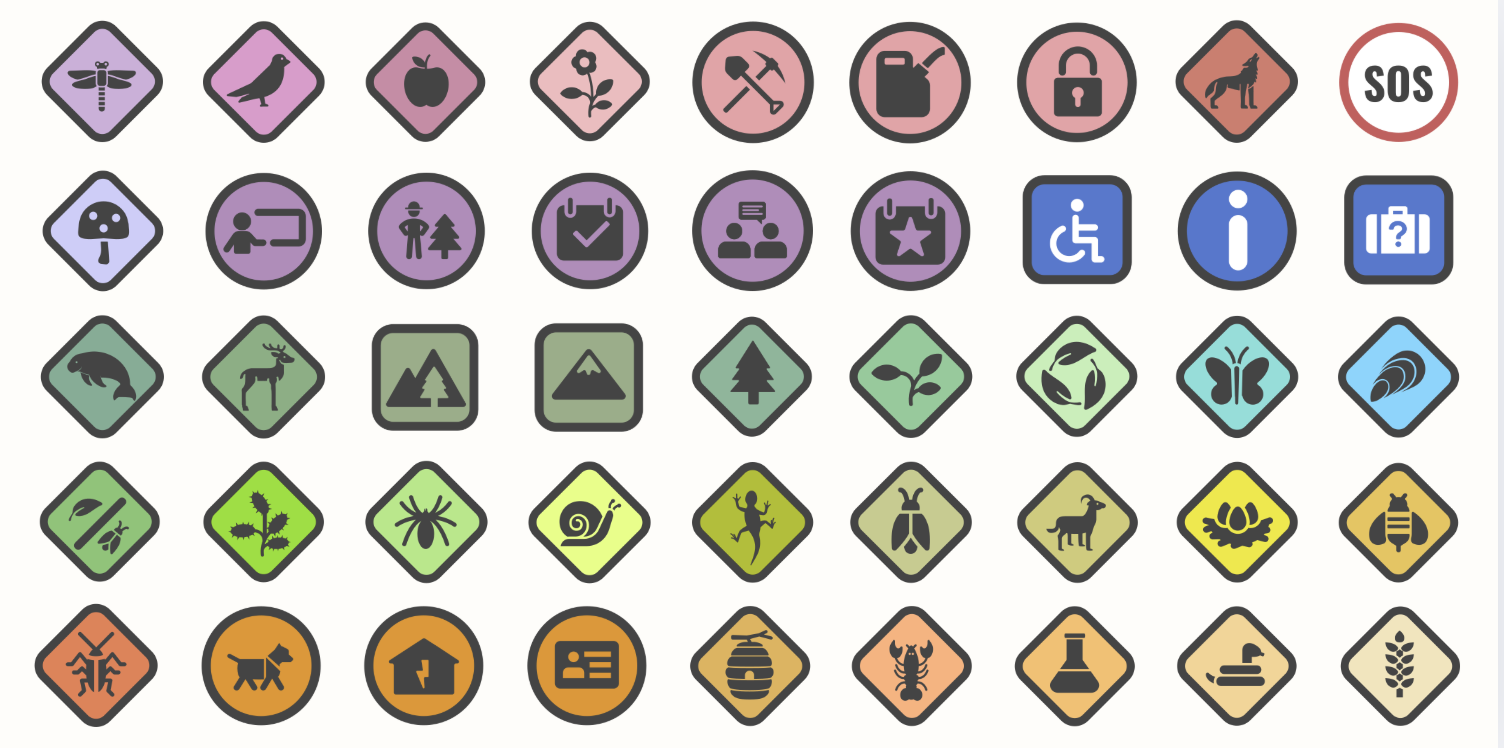 Icons That Work: Making Maps Meaningful for Land Managers