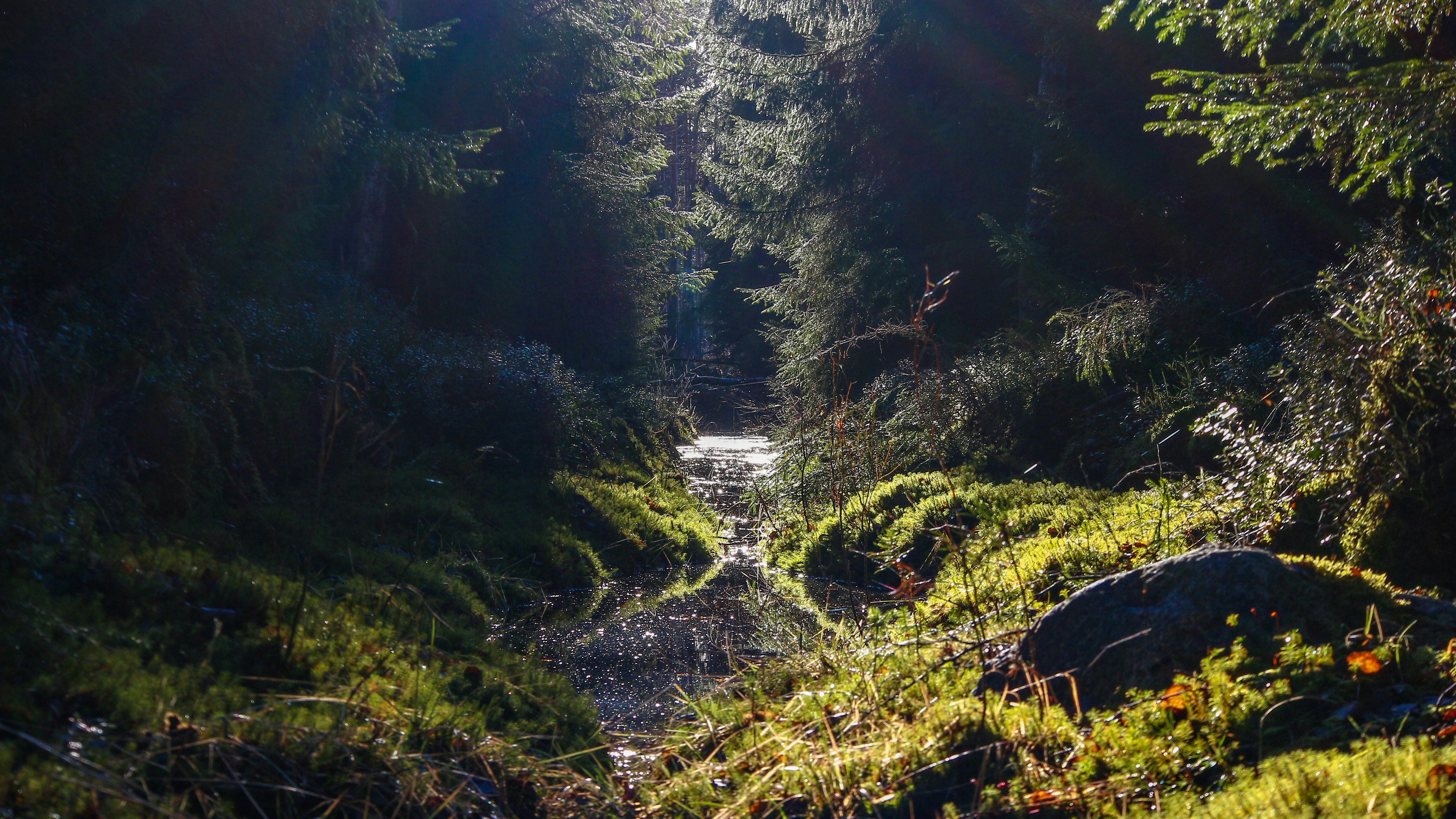 Proactive Land Management: Making Work Visible and Valuable