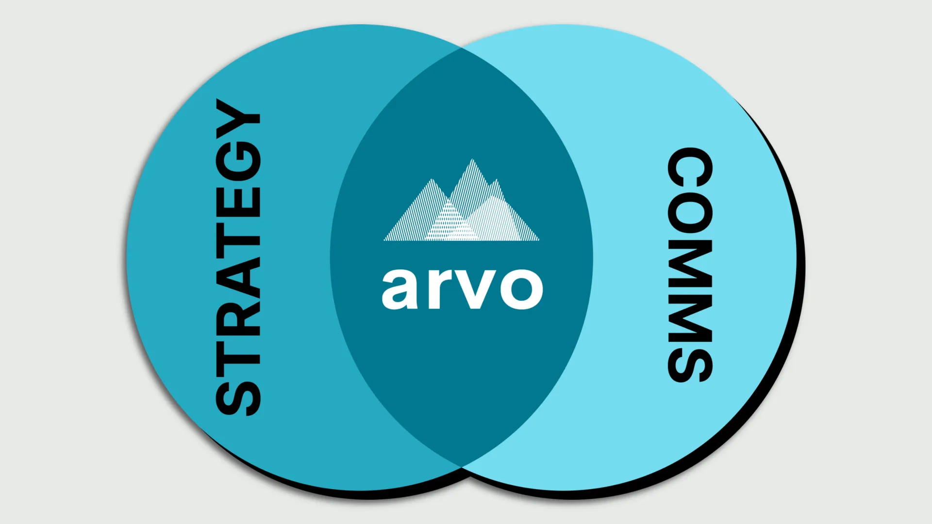 Industry vets launch strategic communications firm Arvo Advisory