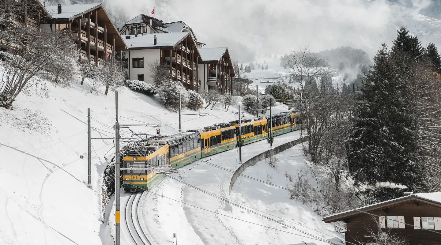 train d'accès pour Wengen Braunbär Hotel & Spa