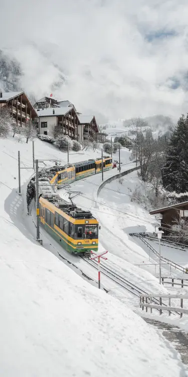 train d'accès pour Wengen Braunbär Hotel & Spa