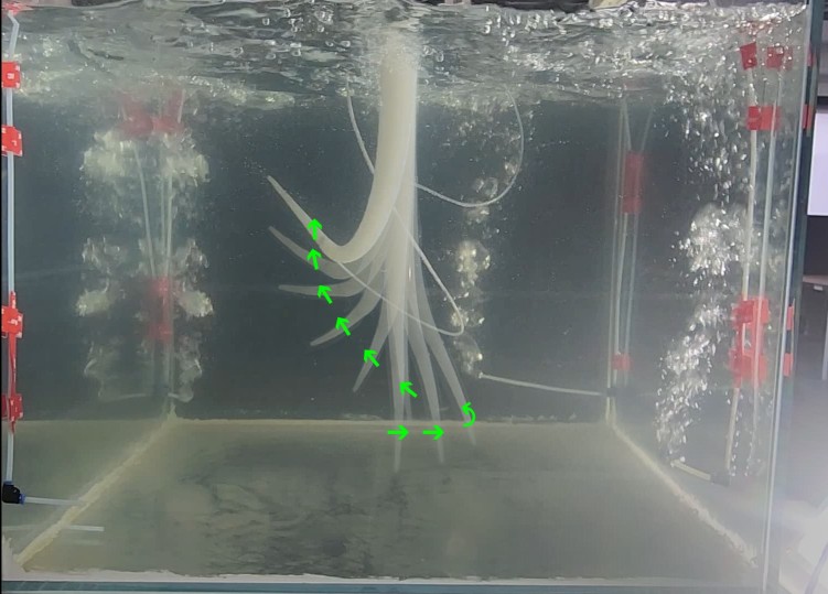 Transparent tank filled with water showing a white flexible tube or structure bending downward, with green arrows indicating its curved path.