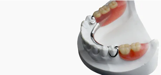 teeth prostetic 3d model